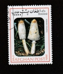 Stamps Afghanistan -  Coprinus comatus