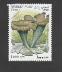 Stamps Afghanistan -  Ctaterellus cornucopioides