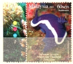 Stamps : Asia : Malaysia :  HYPSELODORIS  DE  BULLOCK