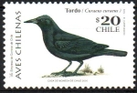 Sellos de America - Chile -  AVES  CHILENAS.  TORDO.