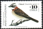 Stamps : America : Chile :  AVES  CHILENAS.  CHINCOL.