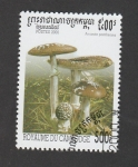 Stamps Cambodia -  Amanita  pantherina