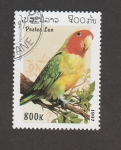 Stamps Laos -  Agaponis roseicollis
