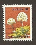 Stamps Australia -  564