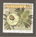 Stamps Australia -  977