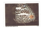 Sellos de Africa - Santo Tom� y Principe -  Mariposa. Megistanis Baeotus