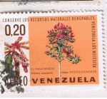 Stamps : America : Venezuela :  El Palo Maria