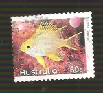 Stamps Australia -  SC34