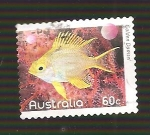 Sellos de Oceania - Australia -  SC34