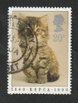 Stamps United Kingdom -  1439 - Gatito