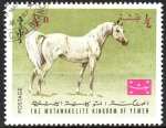 Stamps : Asia : Yemen :  CABALLOS  ÁRABES
