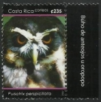Stamps Costa Rica -  1679 - Búho de anteojos u oropopo