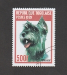 Stamps : Africa : Togo :  Perro raza Shnauzer