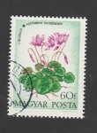 Stamps Hungary -  Cyclamen europaeum