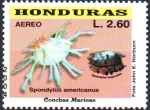 Stamps Honduras -  CONCHAS  MARINAS.  SPONDYLUS  AMERICANUS.