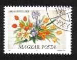 Sellos de Europa - Hungr�a -  Flores