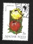 Stamps Hungary -   Flora de África