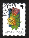 Stamps Hungary -  Flora de África