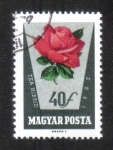Stamps Hungary -  Rosas