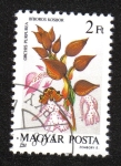 Stamps Hungary -  Orquídeas