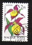 Stamps Hungary -  Orquídeas