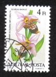 Stamps Hungary -  Orquídeas