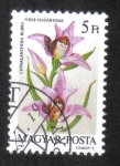 Sellos de Europa - Hungr�a -  Orquídeas
