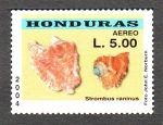 Sellos de America - Honduras -  CONCHAS  MARINAS.  STROMBUS  RANINUS.