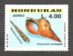 Stamps Honduras -  CONCHAS  MARINAS.  CHARONIA  VARIEGATA.