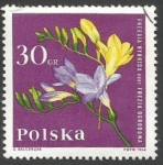 Stamps Poland -  Flor 2