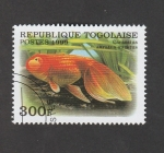 Stamps : Africa : Togo :  Carassius aurantus