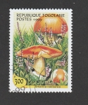 Stamps Togo -  Amanita caesarea