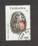 Sellos de Africa - Tanzania -  Perro raza Spaniel