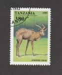 Stamps Tanzania -  Srepsiceros
