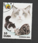 Sellos de America - Cuba -  Gatos