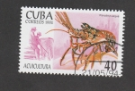 Stamps Cuba -  Acuicultura, Palinurus