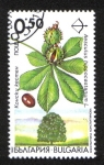 Sellos de Europa - Bulgaria -  Árbol, Aesculus hippocastanum