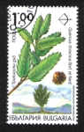 Stamps Bulgaria -  Árbol, Quercus thracica