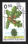 Sellos de Europa - Bulgaria -  Árbol, Quercus mestensis