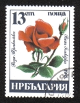 Sellos de Europa - Bulgaria -  Rosas