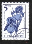 Stamps Bulgaria -  Jardín de Flores