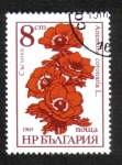 Sellos de Europa - Bulgaria -  Jardín de Flores