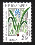 Stamps Bulgaria -  Plantas de agua protegidas