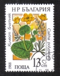 Stamps Bulgaria -  Plantas de agua protegidas