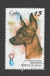 Stamps Cuba -  Perro de raza: Xoloc de Mictlan