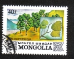 Stamps Mongolia -  Flora
