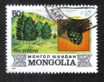 Sellos de Asia - Mongolia -  Flora