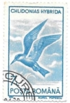 Stamps : Europe : Romania :  aves