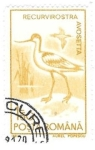 Stamps : Europe : Romania :  aves