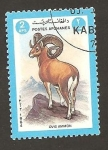 Stamps : Asia : Afghanistan :  1080